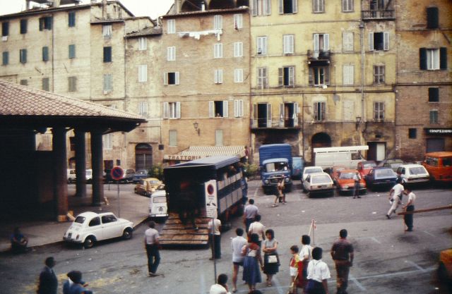 Trailer Waiting for the Horses