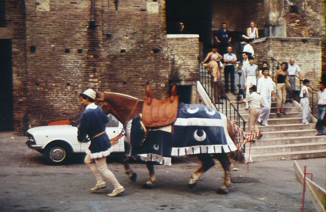 Palio Handler and Horse