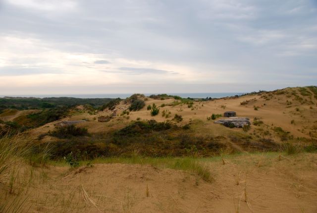 Sand Dunes in Camp