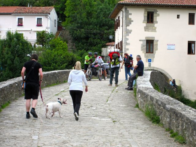 Bridge at the Camino Junction