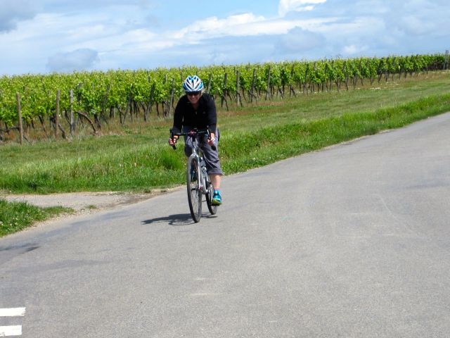 Joanna on the road to Jarnac