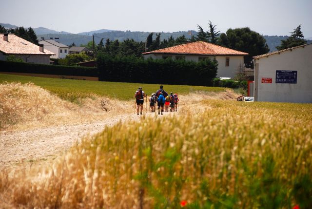 Perigrinos in Uterga