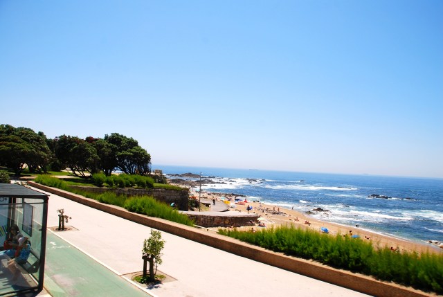 A Beach Near the Campsite
