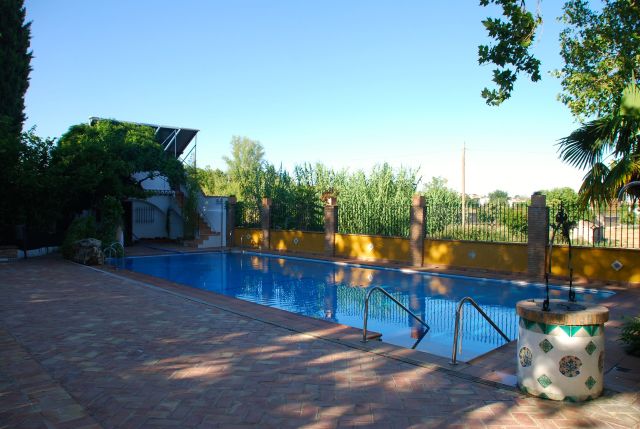 The Pool at Reina Isabel