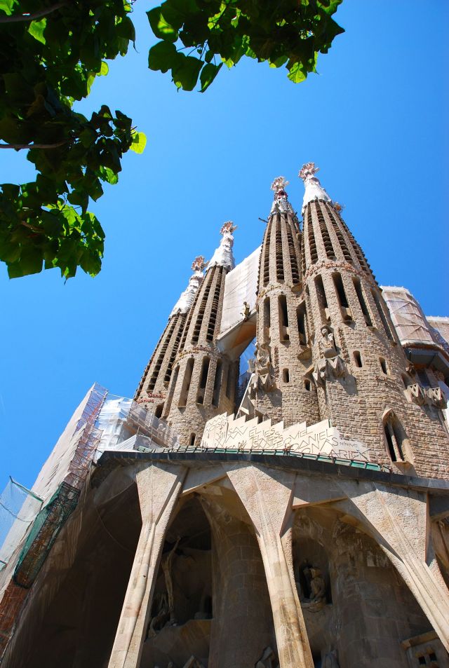 Sagrada Rear