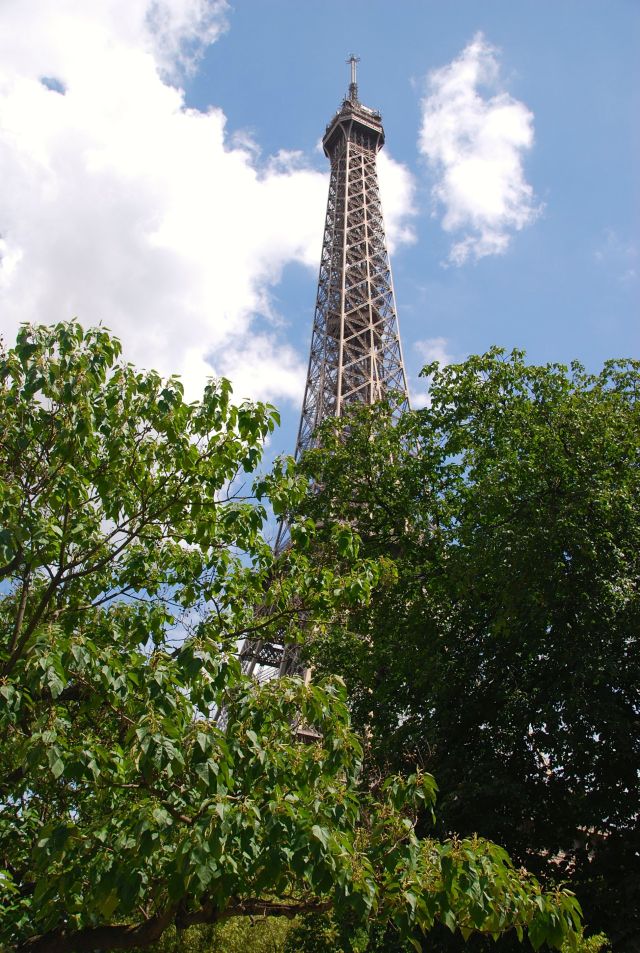 The Tower from My Milestone Spot