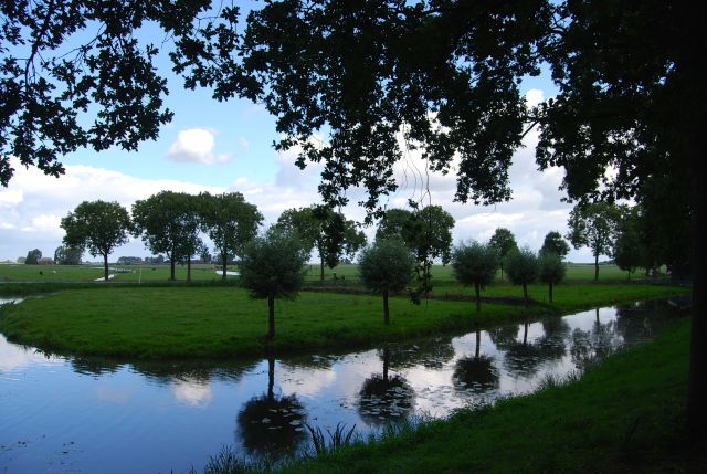 Edam Landscape