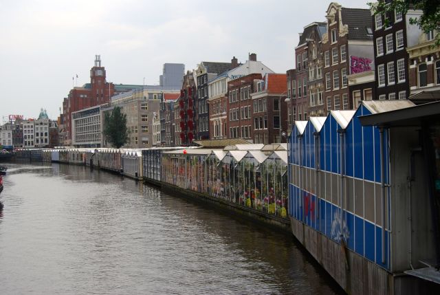 Flower Market on Singel Canal