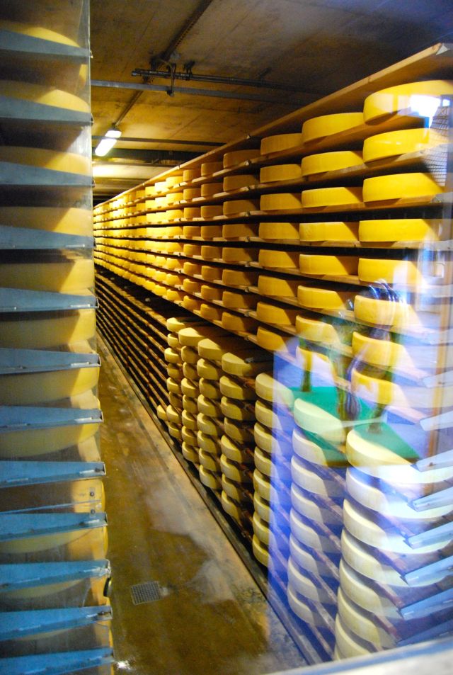Cheese Aging