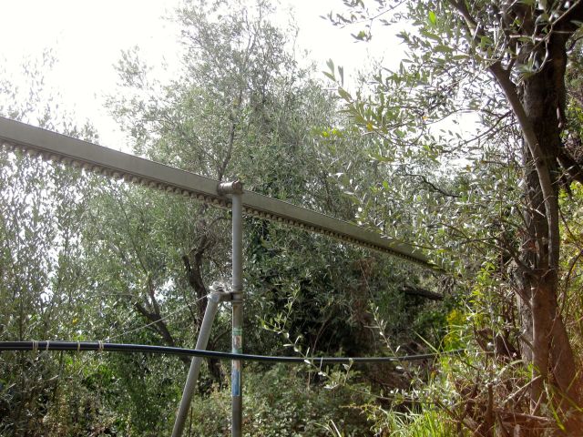 Cog Funicular for Hauling Grapes