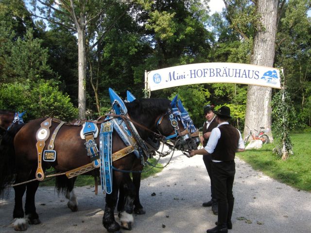 Wagon at the Mini-Hofbrau