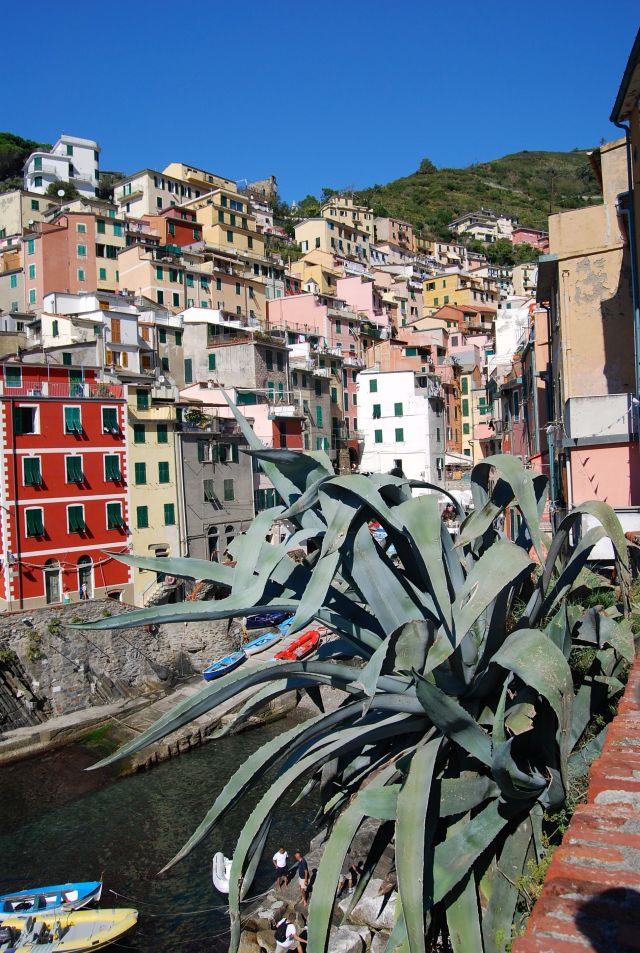 Riomaggiore