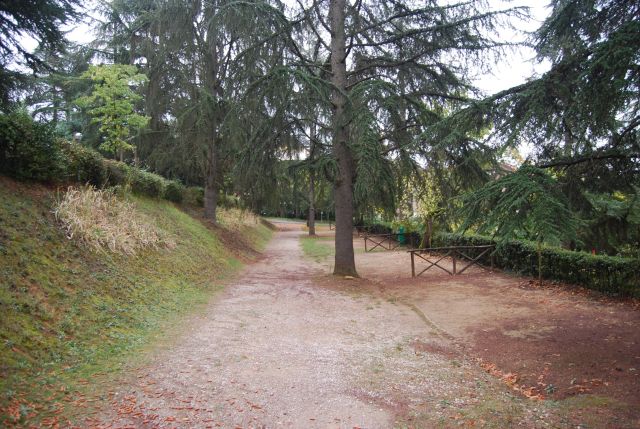 Our Site without the Tent