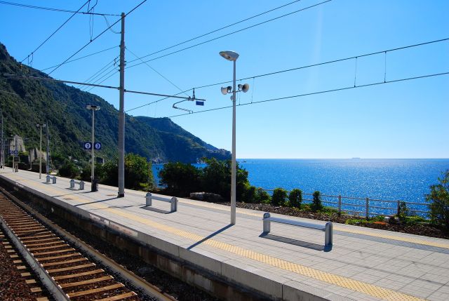 View Out the Window of the Train