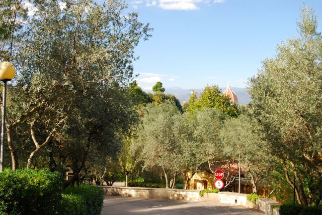 Camping Michelangelo