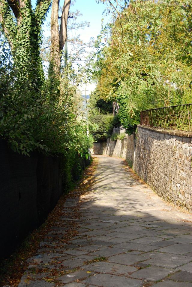 The Path to the River