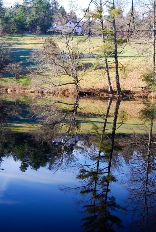 Entrance to the Park, the House on the Hill in the Background
