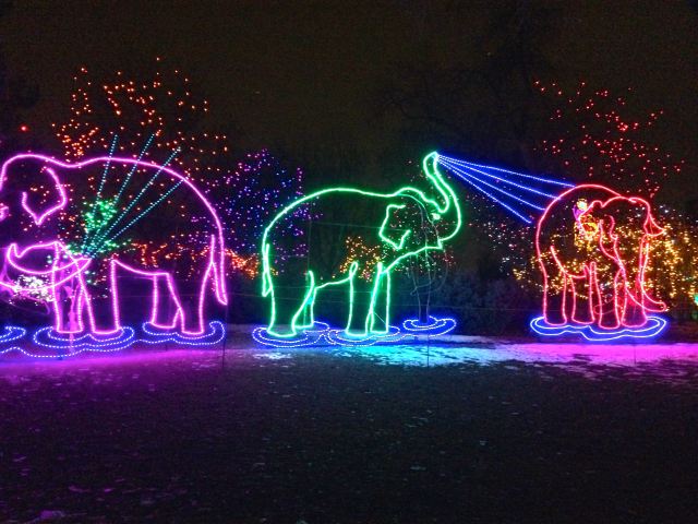 Denver Zoo LIght Display
