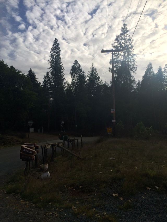 Mailboxes in the afternoon