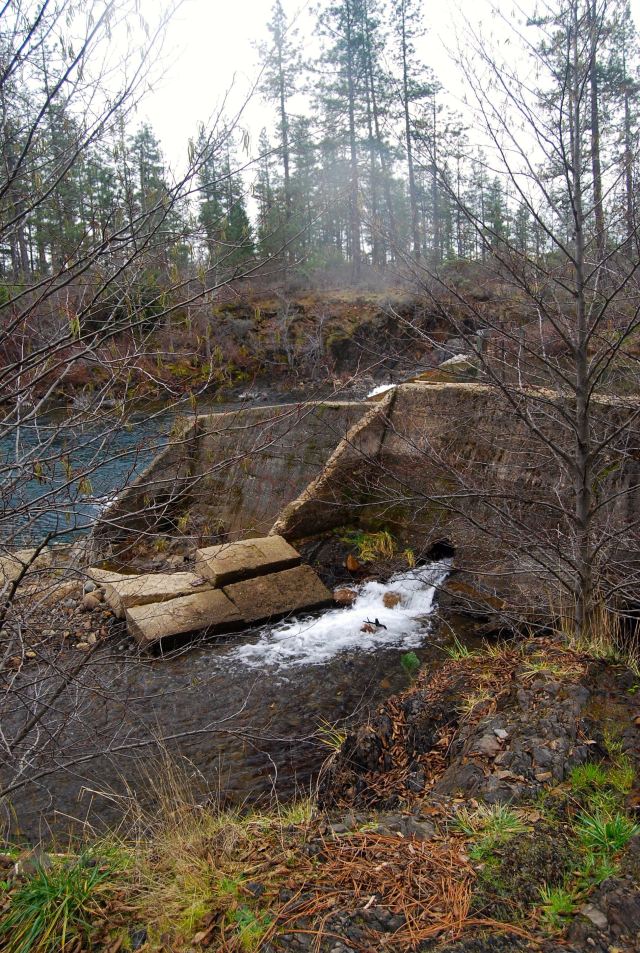 Rough and Ready Creek