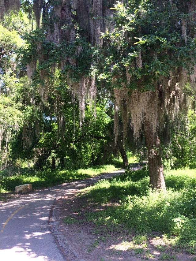 South Section of the Salado Creek Greenway. 