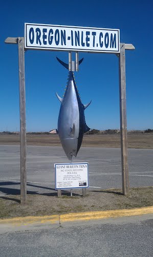 Not one of the fish we saw that morning.