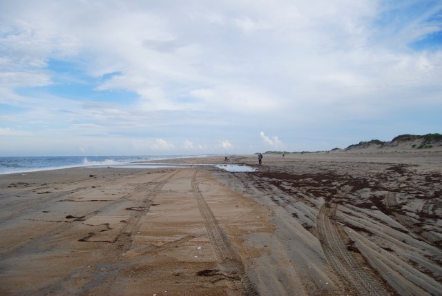 Looking South along the beach