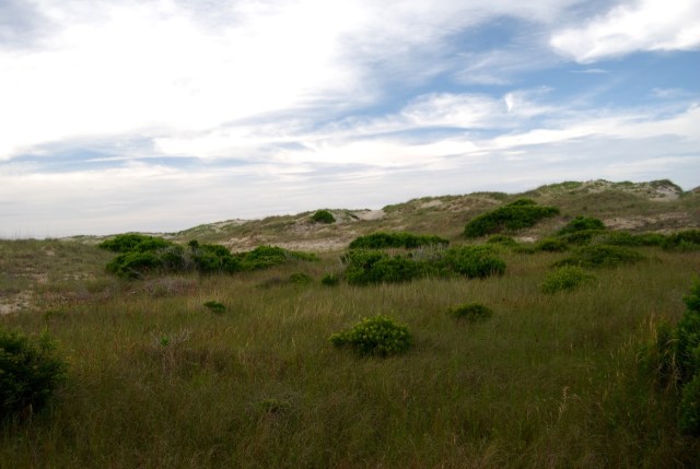 Dunes at Oregon Inlet Campground