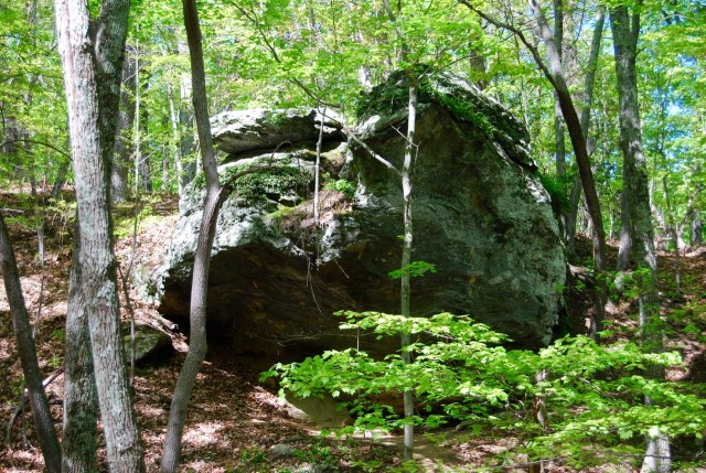 Hiking to the Summit