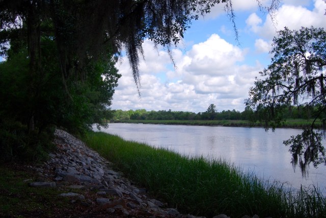 The Ashley River