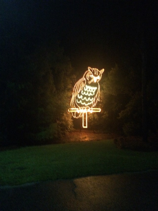 Welcoming Light at James Island Park