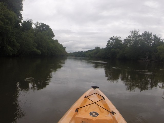 On the French Broad