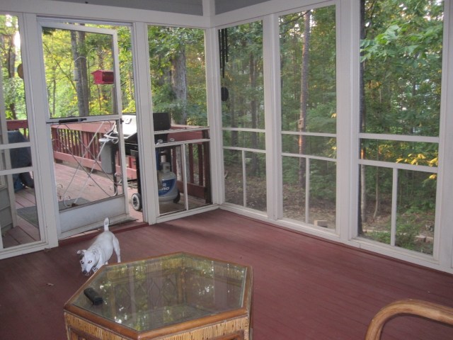 View from our screened in porch