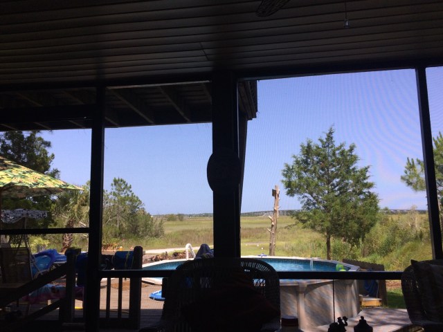 View from the Screened in Porch