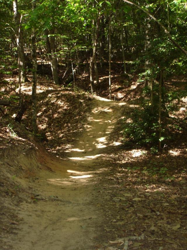 Section of Manbo Trail