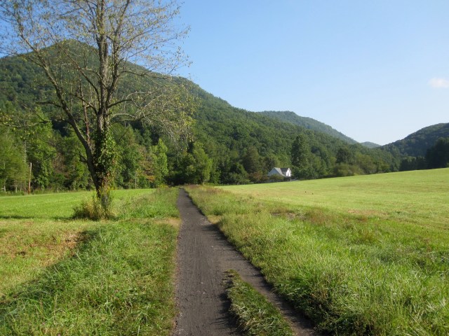 Open Meadow halfway to Whitetop