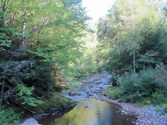 Stream Crossing - One of Many