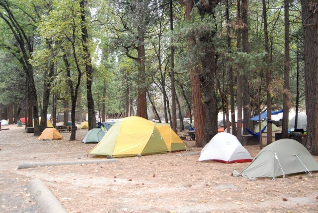 A Row of Tents at Camp 4