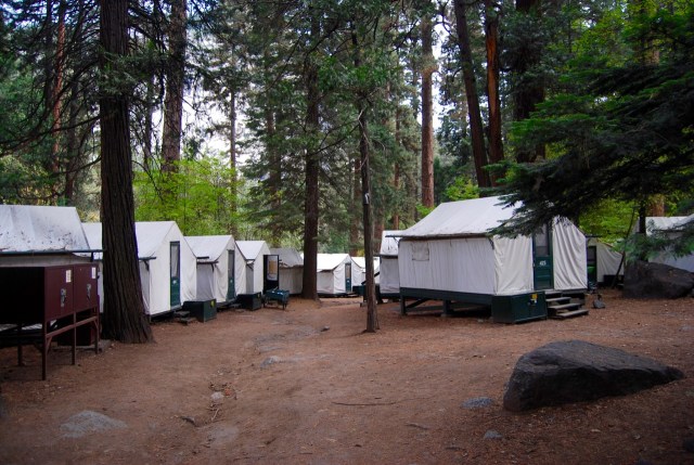 Curry Village Tent Cabins