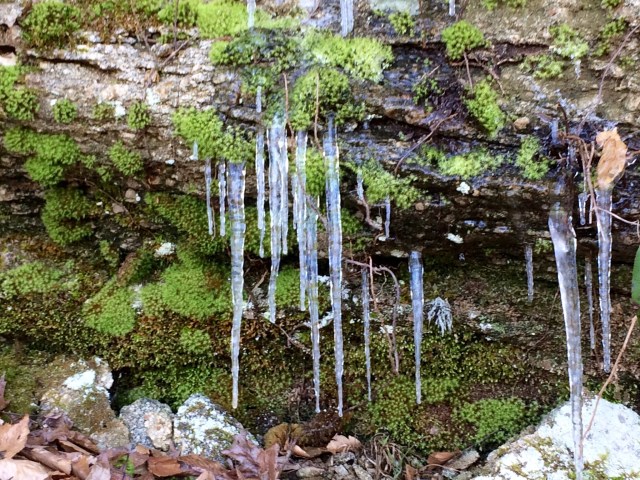 Boone's Cave Icicles