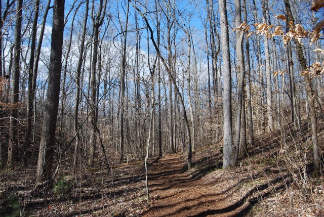 Fresh Mulch on the Trail