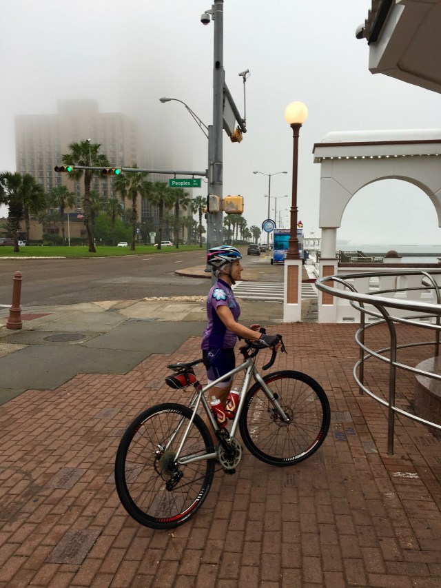 A Foggy Corpus Morning