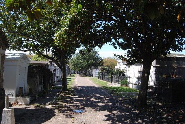 One of the Main Streets in the Cemetary