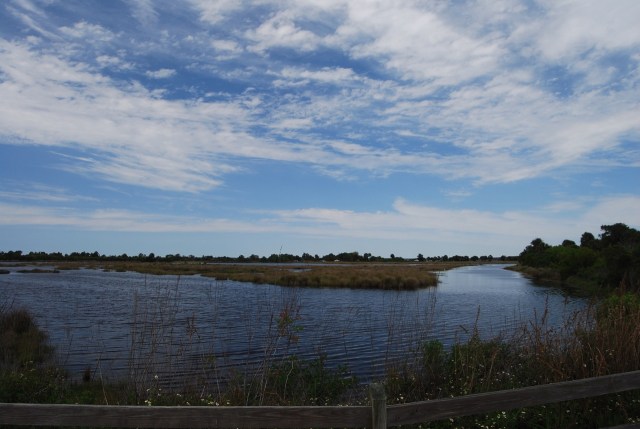 Marshland near the Lighthouse
