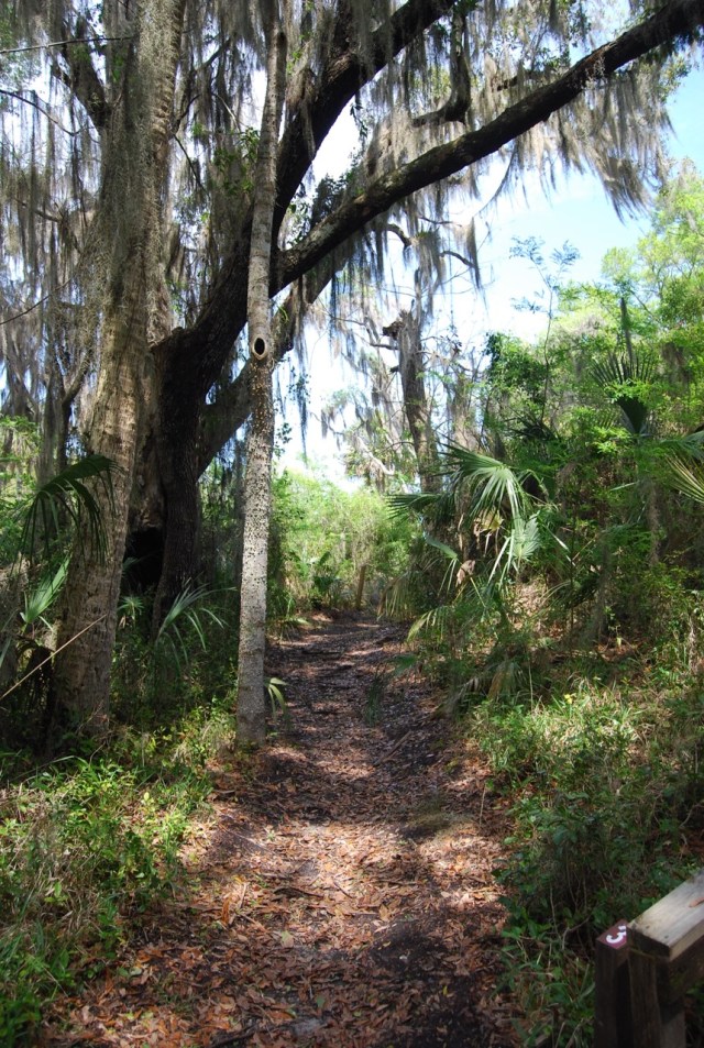 Trail at Fort
