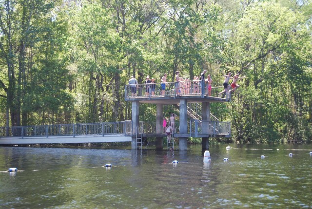 Divers off the Platform