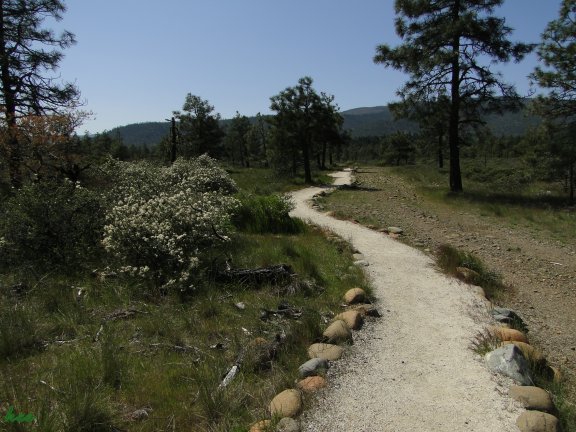 Rough and Ready Flat