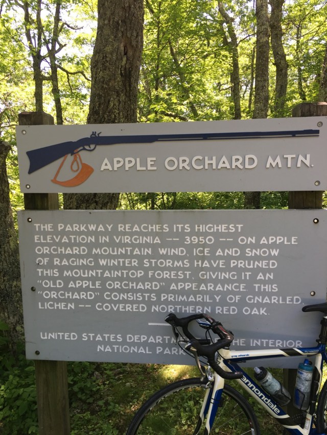 Apple Orchard MT - Summit