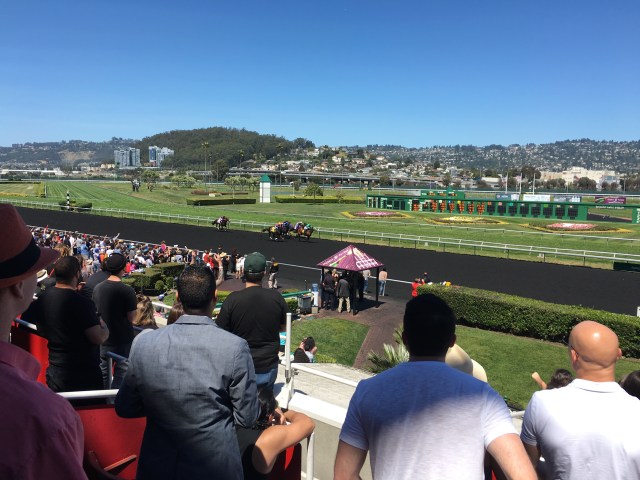 Coming Down the Stretch