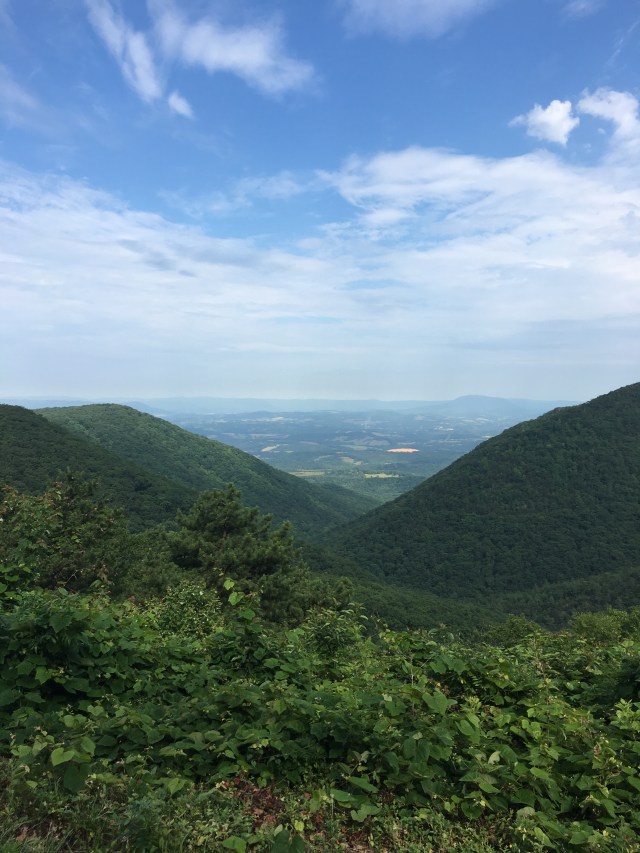 Wednesday's View of the Day